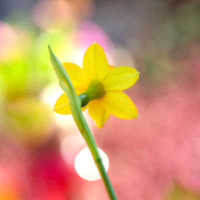  5 Easy Tips to Spring Clean Your Marketing 