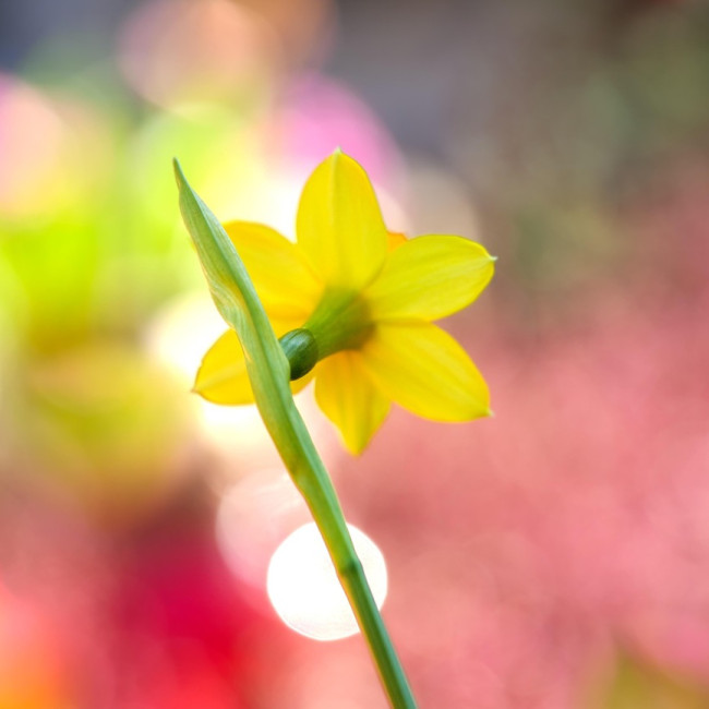  5 Easy Tips to Spring Clean Your Marketing 