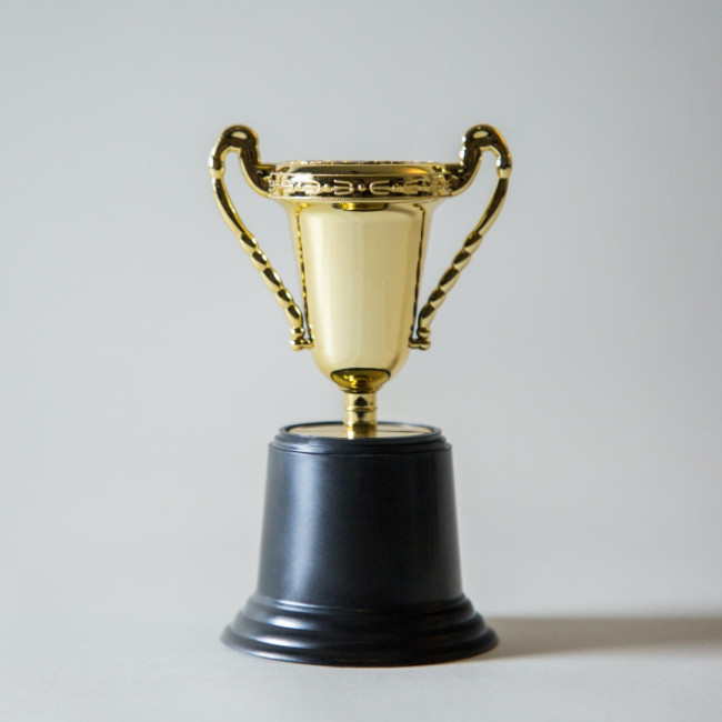 STEPS Rehabilitation win prestigious industry award for a second consecutive year