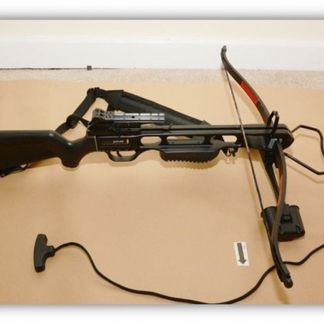 Crossbow incident at Windsor Castle: campaign to change crossbow laws