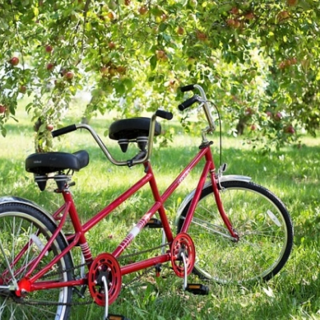 Marketing and Business Development – are they working in tandem?