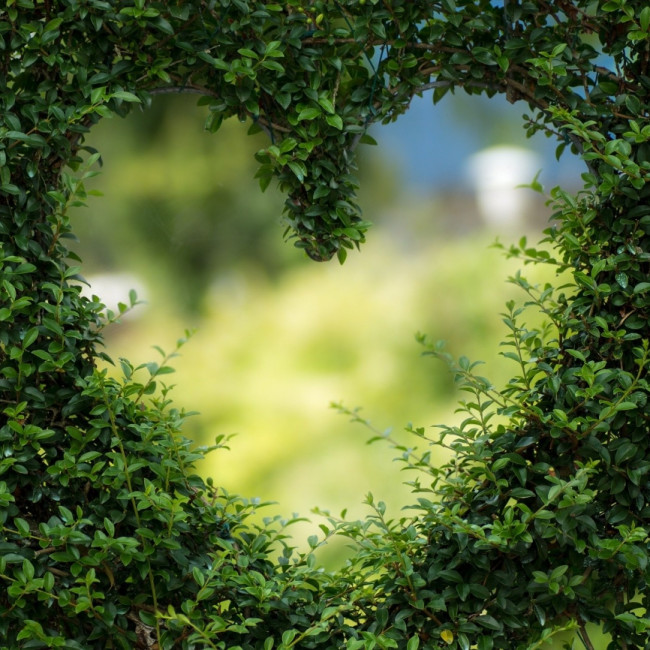 Expert comment on the Government’s £5,000 grant to install low-carbon heating technologies. 